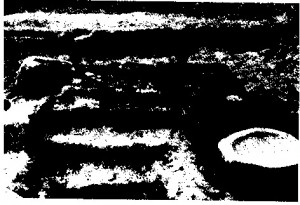 a01